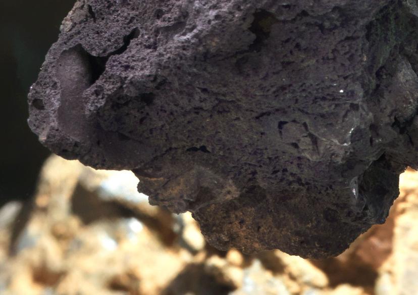 A close-up shows the underside of a dark, porous rock with clustered pits, ridges and small cavities, set against a blurred background of pale, uneven surfaces and soft reflected light.