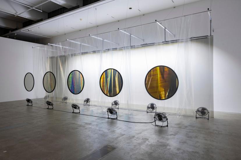 A wide gallery view shows five circular polarising filters suspended in a row before a long translucent curtain, each filter revealing a different colour spectrum ranging from muted greys to bright yellow, blue and rainbow tones.