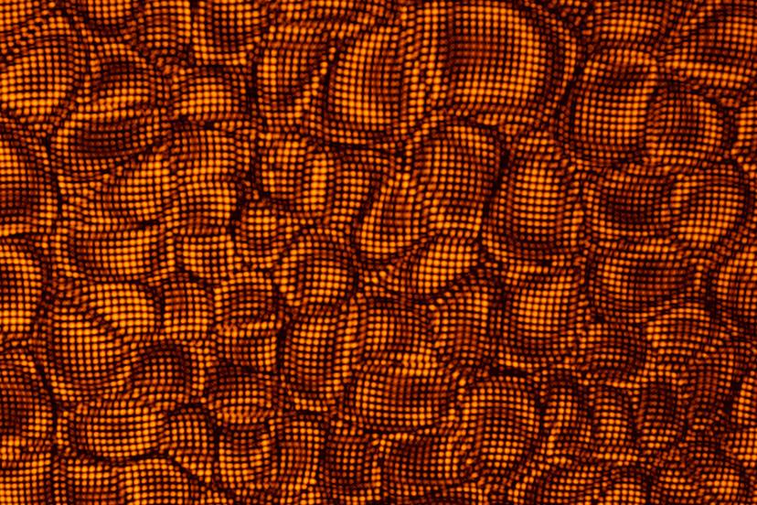 A close-up view of an illuminated orange surface covered in a dense and intricate grid of small, glowing dots that form irregular, curved clusters around the frame.
